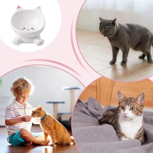 Quorvex Elevated Cat Bowl | Raised Cat Bowls,Tall Ceramic Tilted Dish, Spill Proof For Pet Kitten Puppy Drinking Feeding Apartment City Living Travel — view 4