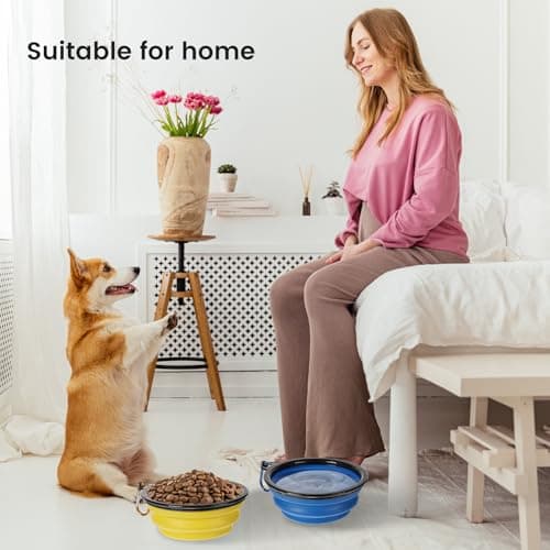 2pcs Collapsible Dog Bowl Portable Dog Bowls Puppy Water Bowl for Dogs Cats Travel Foldable Dog Bowl with Carabiners Folding Pet Water Bowl for Camping Travelling Hiking 350ml — view 5