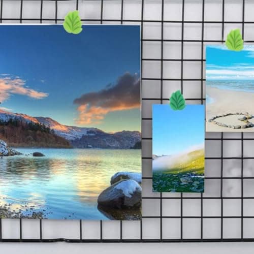 Leaf Shaped Green Push Pin 30pcs Resin Metal Decorative Tacks — view 4
