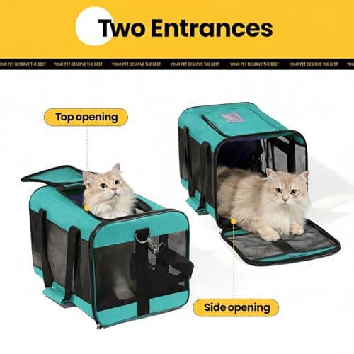 Conlun Cat Carrier Airline Approved, Soft-Sided Dog Carrier with Inner Safety Leash, Pet Transport Carrier for Small-Medium Cats Puppies up to 7KG, Collapsible Travel Kitten Carrier Bag,Turquoise(M) — view 3