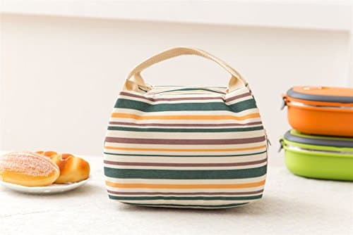 Vinsani Insulated Thermal Lunch Bag Portable Reusable Cooler Bag Unisex