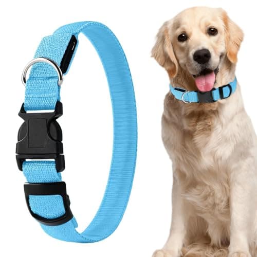 Collar for Dogs Quick-Release Triple Modes