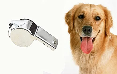 HAADI Sports Whistle for Coaches, Referees and Teachers in Solid Stainless Steel, Loud Cork Pea Sound, Metal Keyring Clip, Football PE School Training and Emergency Use — view 5