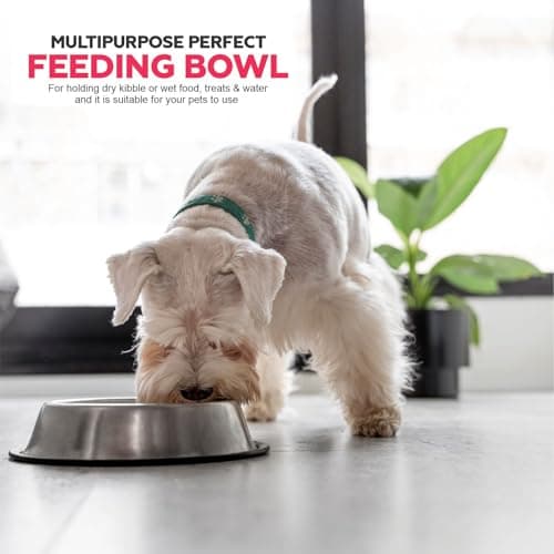 Dog Feed Bowl Lightweight Pet Feeding Bowl Non Slip Dog Bowl Water Hiking Camping Bowl Suitable for Kittens Puppies Rabbits Fogs & Small Pets 15.24x6.35cm (Pack of 1) — view 3