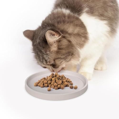Pet Feeding Mat 15.3 cm, Arespark Pet Silicone Food Mat, Set of 2 Nonslip Waterproof Feeding Bowl Mat with Raised Edges for Food and Water Prevent Spills, for Dog Cat Puppy Kitten — view 6
