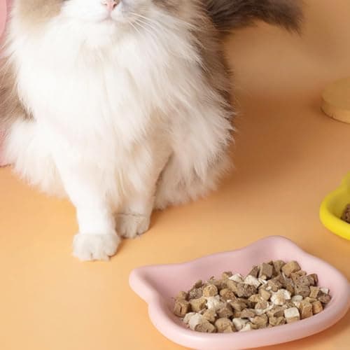 Cat Bowls, 6 Pack Shallow Non-Slip Feeding Dishes for Cats — view 6