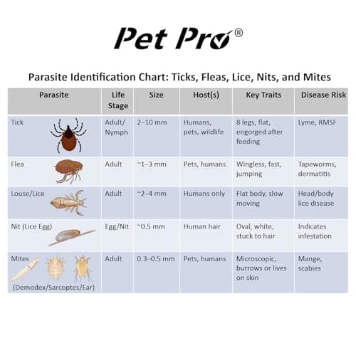 Pet Pro Grooming Comb for Dogs & Cats | Coat Care & Detangling Tool — view 4