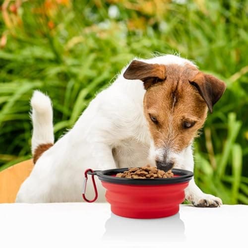 OOYES 2 Pack Dog Collapsible Bowl,Pet Silicone Food Bowl Small,Collapsible Dog Bowls,Travel Dog Bowl,34oz Portable Water Bowl for Dogs,Foldable Dog Bowl,Cat Travel Food Bowls Easy to Carry (Red) — view 6