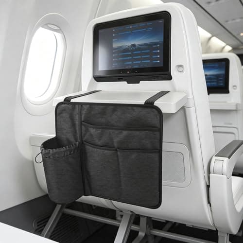 Airplane Pocket Organizer - Airplane Seat Back Organizer, Flightt Seat Pocket, Foldable Flightt Tray Cover | Lightweight Travel Bag | Media Pouch For Flying Passport Phone (Black Pack of 2) — view 3