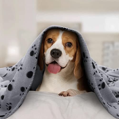 Nobleza 6-Pack Washable Fleece Dog Blankets 75x75cm Soft — view 2