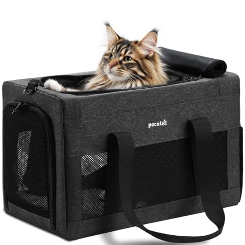 pecute Cat Carrier XL, Stable Dog Carrier with Safety Belt, Dark Grey