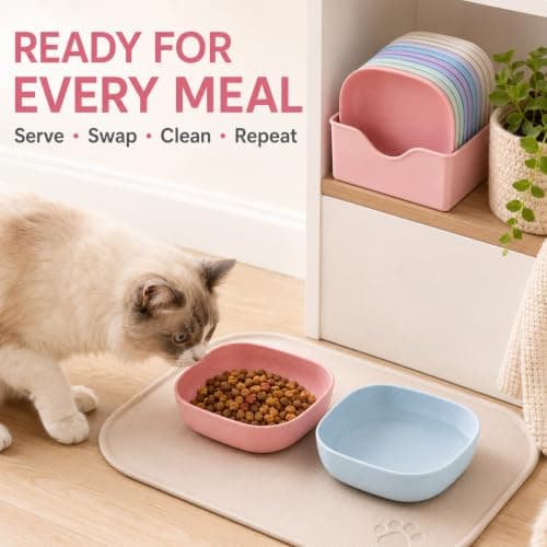 10 Pack Square Cat Bowls with Spoon – for Organised Multi-Cat Feeding — view 4