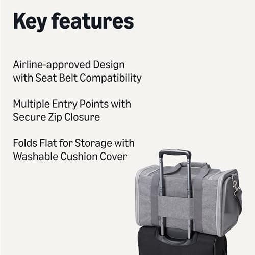 Amazon Basics Tote-Like Soft Cat & Dog Carrier with Adjustable Shoulder Strap, Airline-Approved, Foldable and Portable Design, Mesh Ventilation,43.2cm x 27.9cm x 27.9cm, Grey — view 2