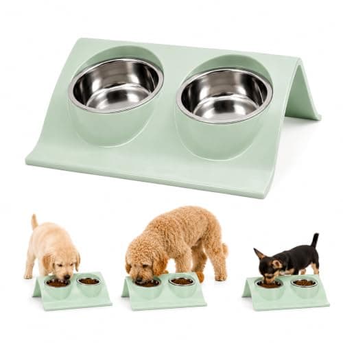 Raised Dog Bowl Set, 2 x 500ml Stainless Steel Bowl with Stand