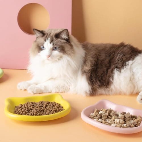Cat Bowls, 6 Pack Shallow Non-Slip Feeding Dishes for Cats — view 3