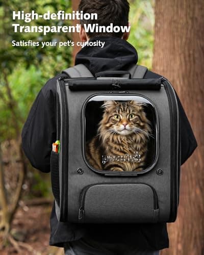 pecute Cat Backpack Extra Large, Cat Bubble Backpack, Grey — view 3