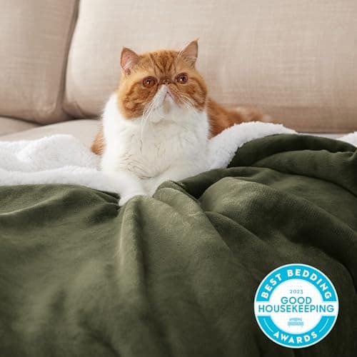 Bedsure Sherpa Fleece Throw Blanket - Fluffy, Thick, Ivy Green, 130x150cm — view 2