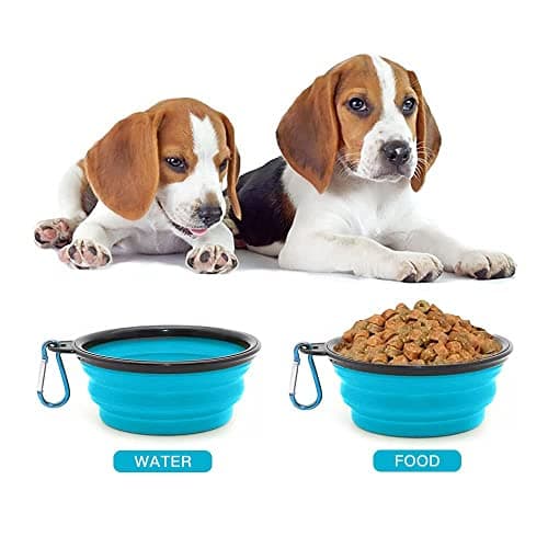 Collapsible Dog Bowl,Collapsible Dog Water Bowls for Cats Dogs, Portable Pet Feeding Watering Dish,Portable Dog Water Food Bowl with Carabiner (Medium(650ML), light blue) — view 5