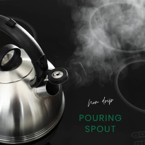 Premium Stainless Steel Whistling Kettle | 10 Colors | Stove top | Non-Drip Pouring Spout | Cool Touch Handle | Whistling Spout | 2.5L Capacity (Blue) — view 4