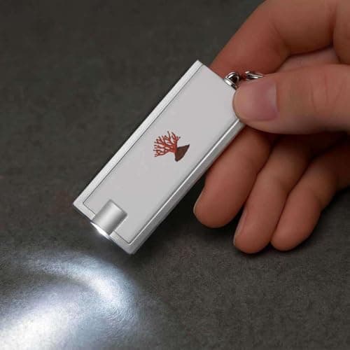 Azeeda 'Red Coral' LED Keyring Torch (KT00047816) — view 5