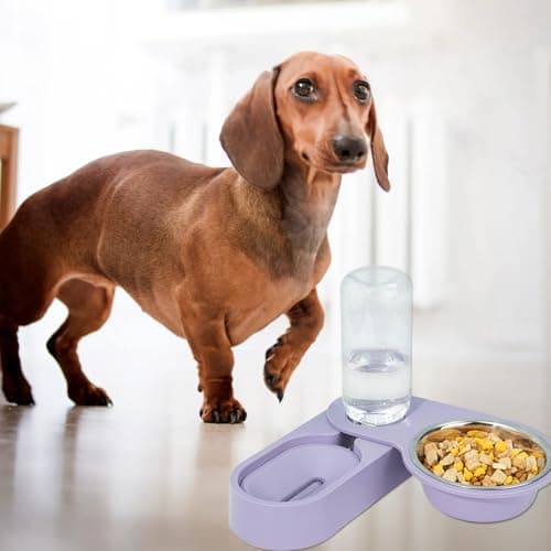 Rotatable Automatic PET Feeding Bowl and Purple with Split Design — view 5