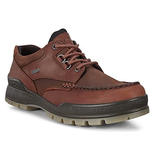 ECCO Track 25, Men’s Low Rise Hiking Shoes, Brown (Bison), UK (42 EU) — view 2