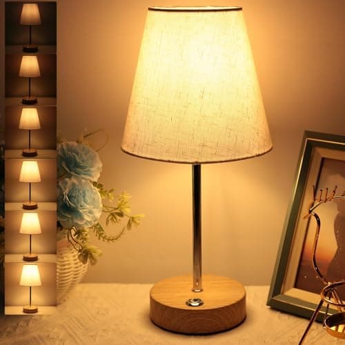 HSLighting Rechargeable Table Lamp, 300LM Cordless Stepless Dimmable Light