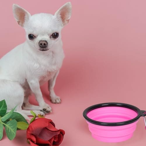 Aruicheng Collapsible Dog Bowl - 2 Pack Portable Dog & Cat Food & Water Bowls with Carabiner - 350ml — view 6
