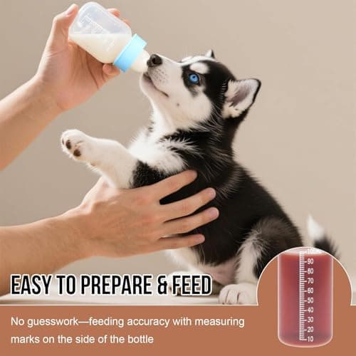 Travel Friendly Pet Feeders Set Hygienic Smooth Surfaces Compacts for Hamsters Rabbits Pigs Travel Friendly Pet Feeding — view 4