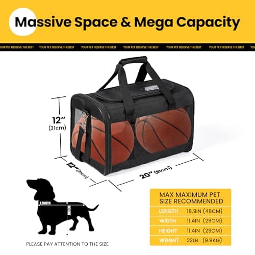 Conlun Black Soft-Sided Dog Carrier, Large Cat Carrier with Inner Safety Leash, Pet Transport Carrier for Large Cats and Medium Dogs up to 10 KG, Collapsible Travel Puppy Carrier Bag - Black, L — view 2