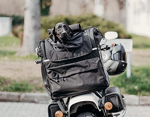 DEEMEED Motorcycle Dog Carrier Large - Premium Pet Travel Bag for Dogs 25-44 lbs - Universal Mounting for Sissy Bar & Luggage Rack - Durable Cordura, Triple Ventilation, Aluminum Floor — view 6