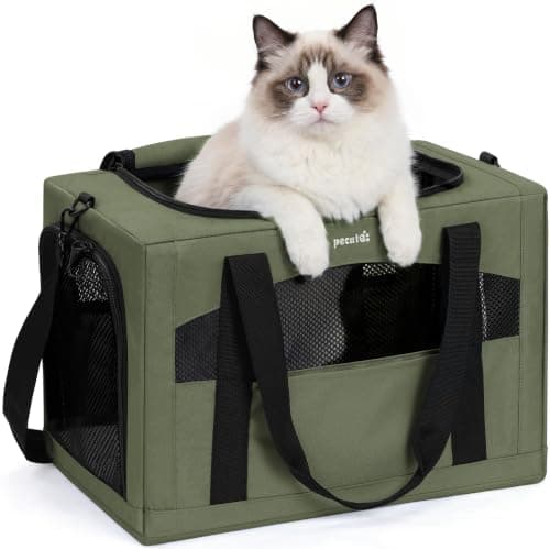 pecute Cat Carrier XL, Extra Large Stable Cat Carrier Handbag, Green