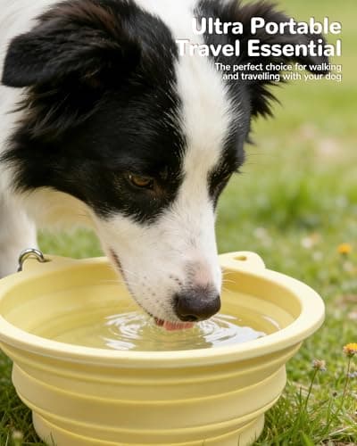 ETIALURE Collapsible Dog Bowl, Portable Dog Travel Bowl for Hiking (Yellow) — view 2