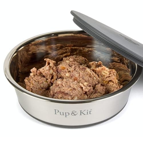 Pup & Kit Lid-it Dog Bowl with Airtight Lid, Stainless Steel (Medium, Grey)