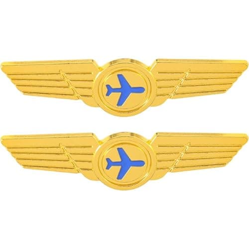 Sslvya 2 Pcs Metal Badges Funny Airplane Pins Fashion Lapel Brooches for Shirt Collar Backpack Clothes Hats Decoration