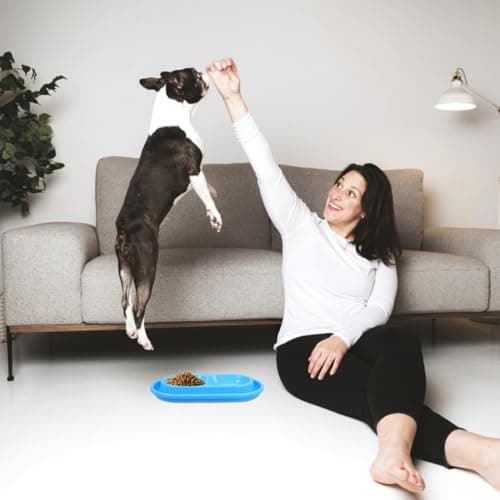 Double Cat Food Water Bowls Anti Theft Pp Set for Cats Dogs — view 5