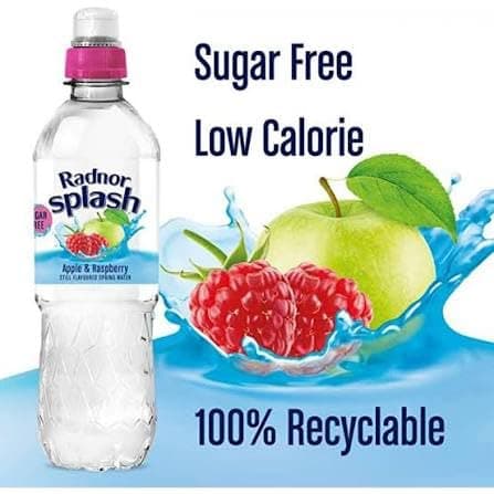 Radnor Apple & Raspberry Still Water 500ml x 12 | Delicious Fruit Flavoured Hydration | Convenient Grab & Go Bottles | Family & Workplace Pack — view 3
