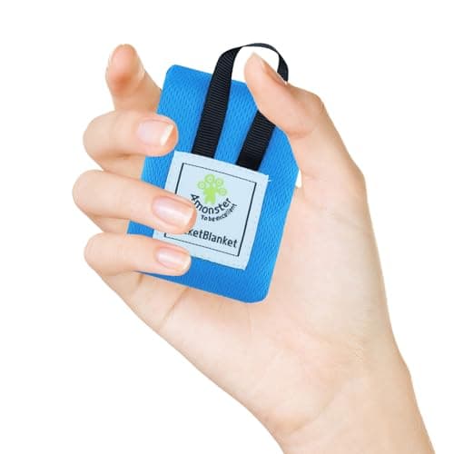 Heyung Mini Pocket Picnic Blanket,Lightweight Small Picnic Blanket,70 x 110cm Sandproof Beach Mat,Waterproof Foldable Thin Ground Sheet for Outdoors Camping Hiking Travel(Blue)