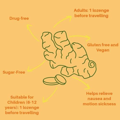Sea-Band Travel Sickness Sugar Free Ginger Lozenges, 24 Lozenges — view 4