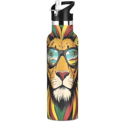 Spill Proof Insulated Water Bottle 20 oz