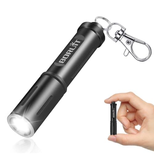BORUIT RJ11 LED Small Battery Torch 120 lumens, AAA Battery Powered