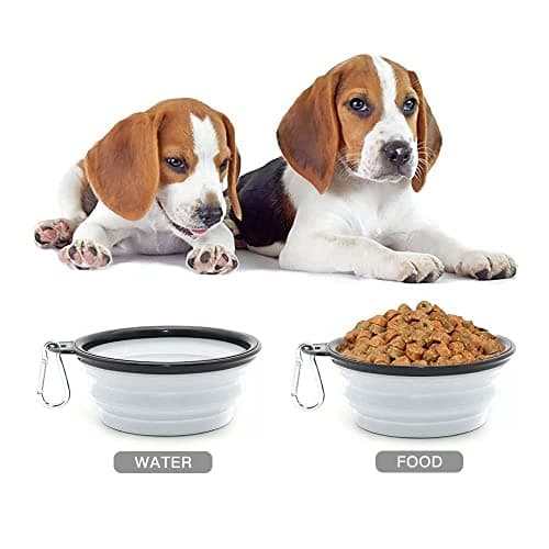 Collapsible Dog Bowl,Collapsible Dog Water Bowls for Cats Dogs, Portable Pet Feeding Watering Dish,Portable Dog Water Food Bowl with Carabiner (Medium(650ML), White) — view 4
