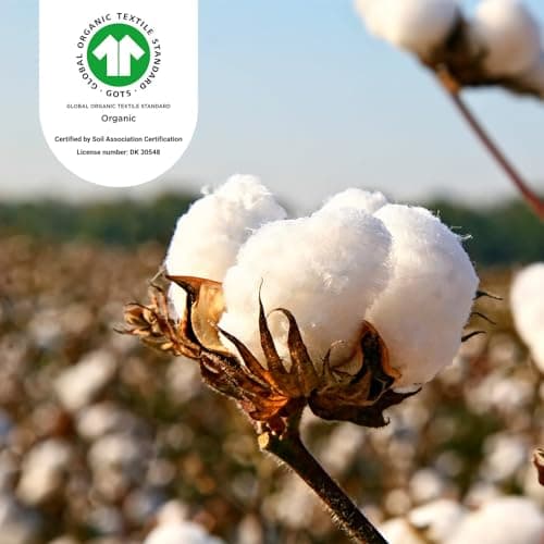 WOOLROOM Arinta Travel/Nursery Pillow Case - Expertly Woven 100% - GOTS Certified Organic Cotton - Home Essentials for Natural Better Sleep & Living - Soft Breathable Hypoallergenic Machine Washable — view 2