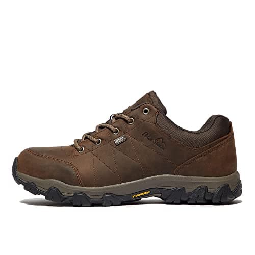 Peter Storm Men’s Lindale Walking Shoes with High Traction Rubber Sole for All Seasons, Durable Leather Uppe (Brown, UK Footwear Size System, Adult, Men, Numeric, Medium, 10)