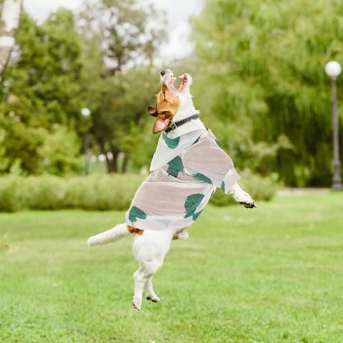 BETOOKY Adorable Dog Hoodie for Outdoor Travel with Sun Protection, Washable and Reusable Polyester Pet Clothing, Pleasant Colour and Brightness, Suitable for Dogs and Pets — view 6