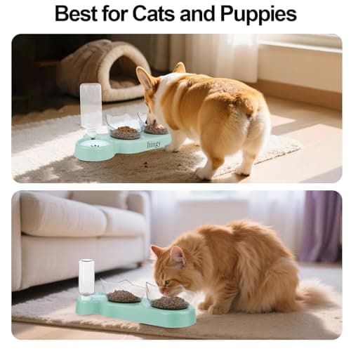 Itingy 15° Tilted 3-In-1 Cat Food Bowl Set with Removable Water Bottle — view 5