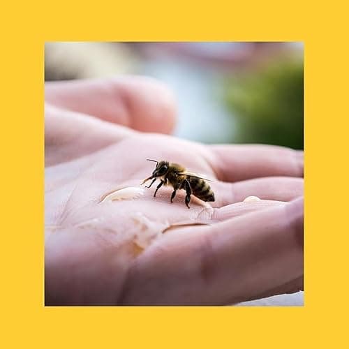 Revive a Bee Gift Box 2 x Bee Revival Kit Keyrings 1x Refill Bottle & Plantable Seed Paper (2 Rose Gold) — view 4