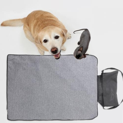 Toddmomy Foldable Blanket for Pets Travel Dog Bed Halloween Season Black — view 4