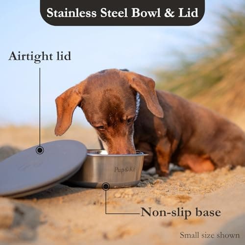 Pup & Kit Lid-it Dog & Cat Bowl with Airtight Lid, Steel (Small, Grey) — view 2