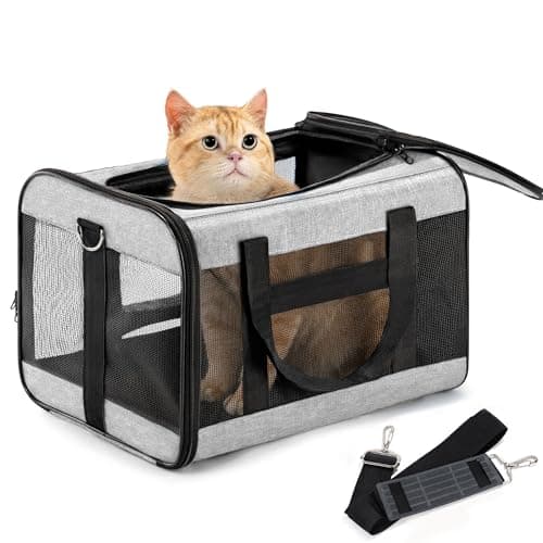 Conlun Cat Carrier Airline Approved, Soft-Sided Dog Carrier with Inner Safety Leash, Pet Transport Carrier for Small-Medium Cats Puppies up to 7KG, Collapsible Travel Kitten Carrier Bag,Grey(M)